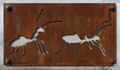 A Couple Of Ants